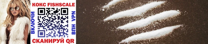 цена наркотик  Иркутск  Cocaine Fish Scale 