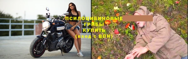 круглые Алзамай