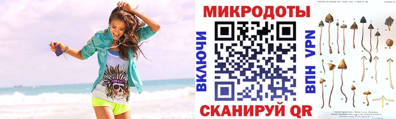 дарнет шоп  Иркутск  мега ссылка  Галлюциногенные грибы GOLDEN TEACHER 