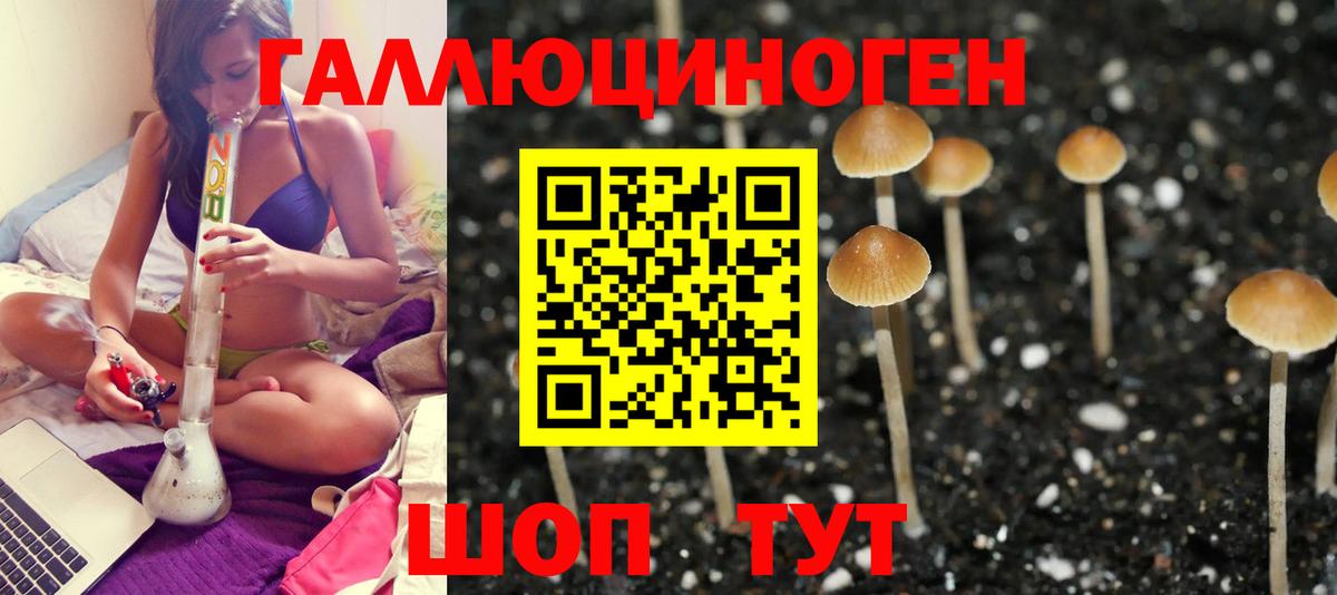 Иркутск  Псилоцибиновые грибы Cubensis  Вход с VPN 