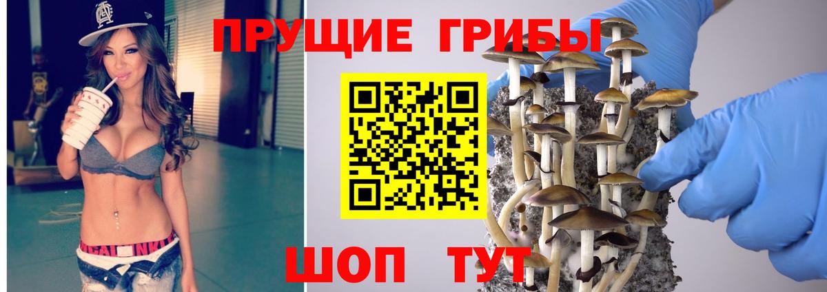Галлюциногенные грибы прущие грибы Иркутск